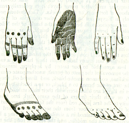Motif de Henn� sur des mains et des pieds.
