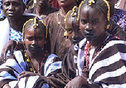 Bala:les repr�sentants de 95 villages Pulaar et Sonink� font une d�claration d�abandon de l�excision