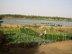 MALI: Au-delà de la sécheresse: "Les familles disparaîtront" MALI: Au-delà de la sécheresse: "Les familles disparaîtront"