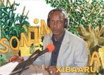 Soninkara Xibaaru
