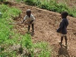 S�n�gal: 1,3 milliard FCFA du Japon et de l�ONU en faveur des enfants